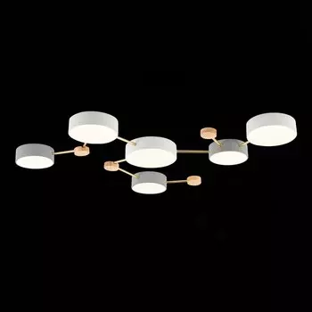 Светильник потолочный Evoluce. SLE600102-06. Dossena. 6х15 Вт, LED, 4000K, 6700 Lm, 108х71х5 см, цвет золотистый, светлое дерево