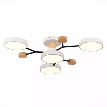 Светильник потолочный Evoluce. SLE6006-502-04. Faema. 4х12 Вт, LED, 3000K/4500K/6000K, 4800 Lm, 70х70х14 см, цвет белый