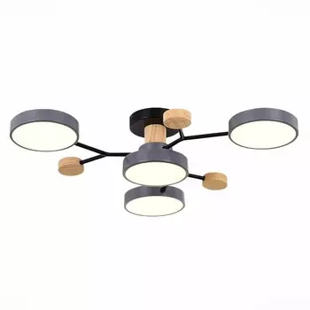 Светильник потолочный Evoluce. SLE6006-702-04. Faema. 4х12 Вт, LED, 3000K/4500K/6000K, 4800 Lm, 70х70х14 см, цвет серый