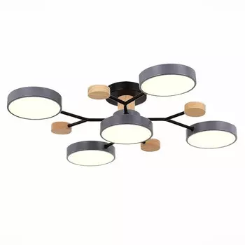 Светильник потолочный Evoluce. SLE6006-702-05. Faema. 5х12 Вт, LED, 3000K/4500K/6000K, 6000 Lm, 70х70х14 см, цвет серый