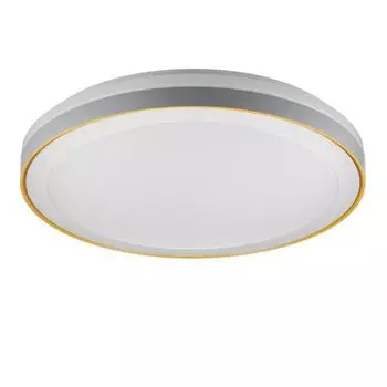 Светильник с ПДУ 1623/1GY LED 72Вт 3000-6000К серый 49х49х7 см