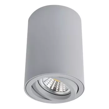 Светильник SENTRY, 1x50Вт GU10, цвет серый