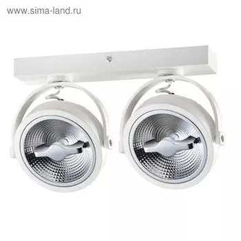 Светильник SNAIL, 30 Вт, 3000К, LED, цвет белый