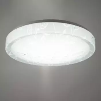 Светильник Susie 24Вт 6500К LED белый