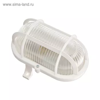 Светильник TDM НБП 02-60-004 "Евро", Е27, 60 Вт, IP54, настенный, защитная сетка, белый