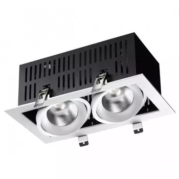 Светильник встраиваемый карданный Novotech. Gesso, 2х24Вт, Led, 133х300х170 мм, цвет белый, чёрный
