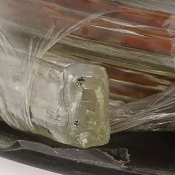 Светодиодная лента Ecola 12 7 мм, 100 м, IP68, SMD2835, 60 LED/м, 4.8 Вт/м, 220 В, 4200К