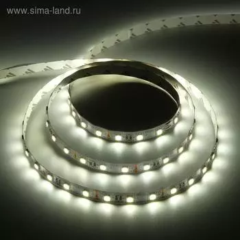 Светодиодная лента Ecola PRO 3 м, IP20, SMD5050, 60 LED/м, 14.4 Вт/м, 12 В, 4200К