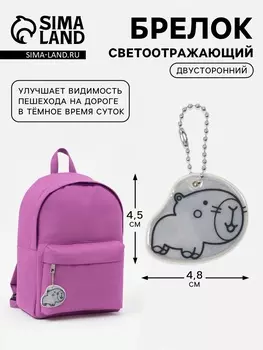 Светоотражающий элемент «Капибарка», двусторонний, 4.84.5 см, белый