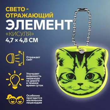 Светоотражающий элемент «Кисуля», двусторонний, 4,7 4,8 см, цвет МИКС