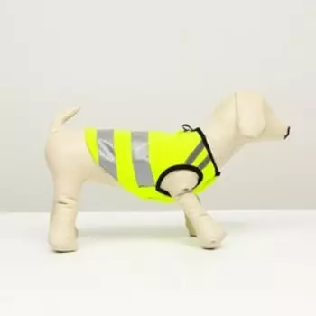Светоотражающий жилет для собак, размер 14 (ДС 32 см, ОГ 42 см, ОШ 31 см), жёлтый