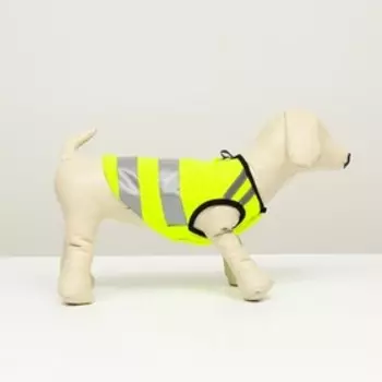 Светоотражающий жилет для собак, размер 8 (ДС 23 см, ОГ 30 см, ОГ 22 см), жёлтый