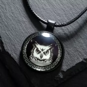 Светящийся амулет "Сова" на шнурке, цвет чёрный