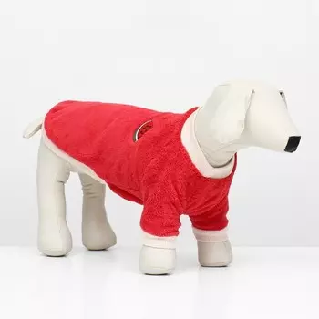 Свитер "Арбуз", велюр, размер L (ДС 35, ОШ 30, ОГ 45 см), красный