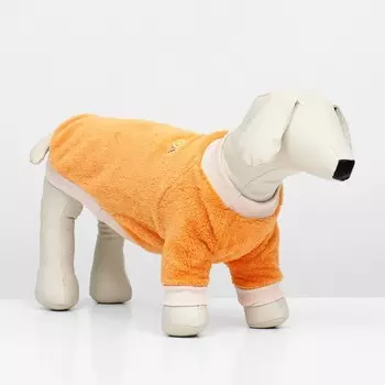 Свитер "Мандарин", велюр, размер M (ДС 30, ОШ 27, ОГ 40 см), оранжевый