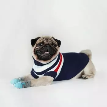 Свитер «Полоски», XS (ДС 17, ОШ 17, ОГ 23-37 см), синий