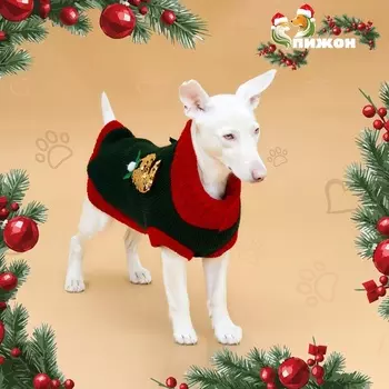 Свитер для животных «Рога удачи», размер XL (ДС 40 см, ОШ 34, ОГ 32-51), зелёный