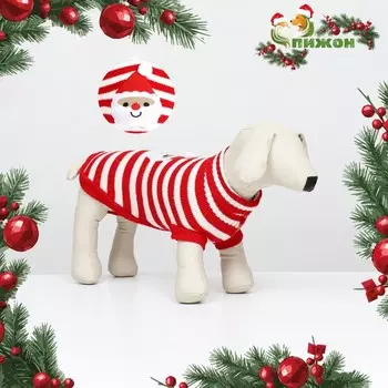 Свитер для собак «Санта», размер S (ДС 23, ОШ 23, ОГ 26-45 см)