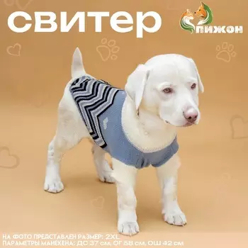 Свитер для животных «Волна», 2XL (ДС 34, ОШ 34, ОГ 32-51 см), голубой