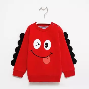 Свитшот детский, цвет красный, рост 74 см