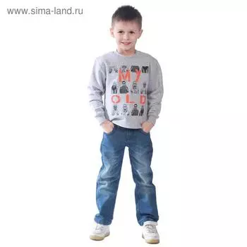 Свитшот детский My old, рост 110 см, цвет серый меланж