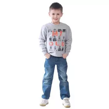 Свитшот детский My old, рост 116 см, цвет серый меланж