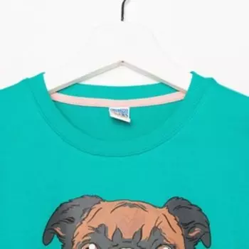 Свитшот для девочки, цвет бирюзовый, рост 146