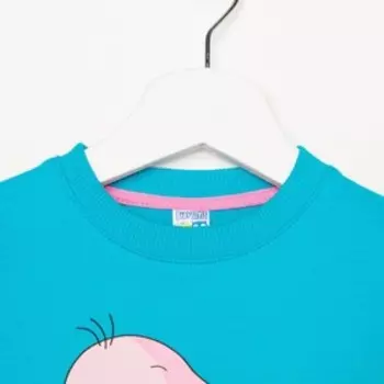 Свитшот для девочки, цвет голубой, рост 98