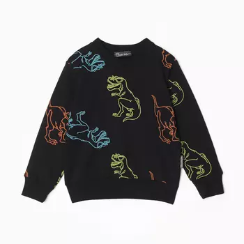 Свитшот для мальчика, цвет черный/дино, рост 110 см