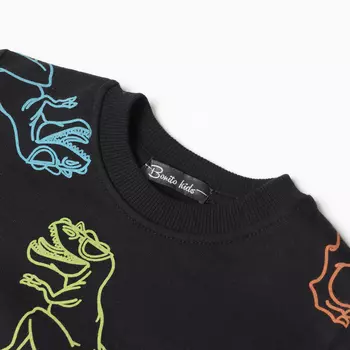 Свитшот для мальчика, цвет черный/дино, рост 116 см