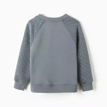Свитшот для мальчика, цвет серый, рост 104 см