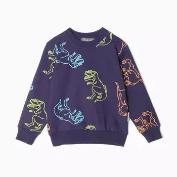 Свитшот для мальчика, цвет тёмно-синий/дино, рост 116 см