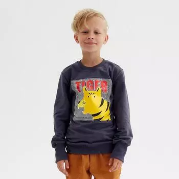 Свитшот для мальчика MINAKU: Casual Collection KIDS, цвет графит, рост 116 см