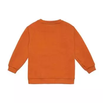 Свитшот для мальчика, рост 80 см, цвет кирпичный