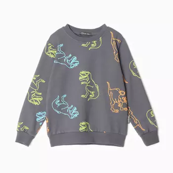 Свитшот для мальчиков, цвет графит/дино, рост 122