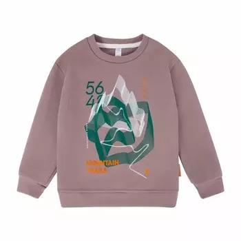 Свитшот для мальчиков, рост 110 см, цвет коричневый