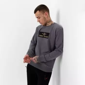 Свитшот мужской, цвет серый, размер 48 (L)