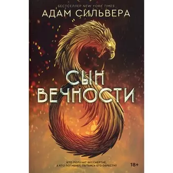 Сын вечности. Сильвера А.
