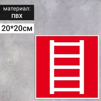 Табличка «Пожарная лестница», 200200 мм