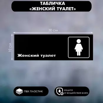 Табличка «Женский туалет», матовая, 300100 мм