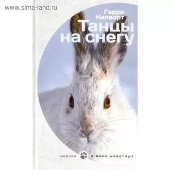 Танцы на снегу. Килворт Г.