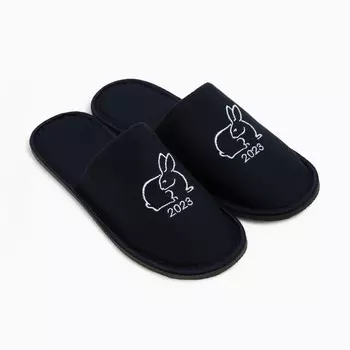 Тапочки мужские, цвет синий, размер 41