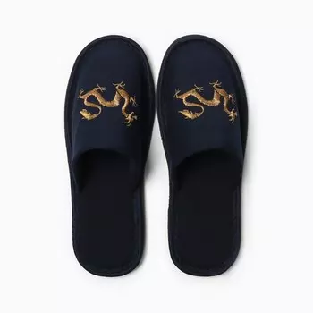 Тапочки мужские Дракон, р.43, синий