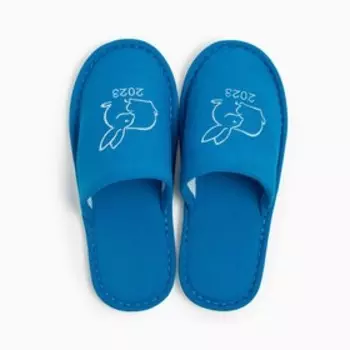 Тапочки женские, цвет голубой, размер 40