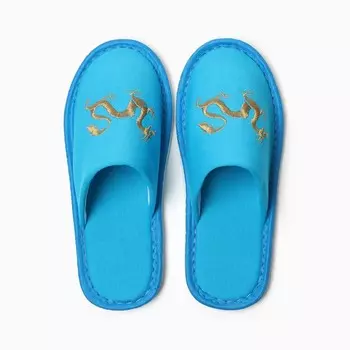 Тапочки женские Дракон, р.38, голубой