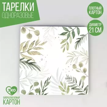 Тарелка одноразовая бумажная квадратная «Эко»,21 см
