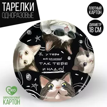 Тарелка одноразовая бумажная "Так тебе и надо",18 см