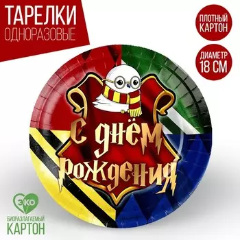 Тарелка одноразовая бумажная "Волшебного Дня Рождения", 18 см