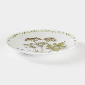 Тарелка фарфоровая «Ботаника», d=24 см