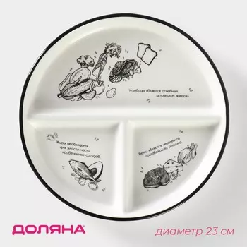 Тарелка для правильного питания Доляна «Гарвадская №3», d=23 см, 3 секции, фарфор, белая
